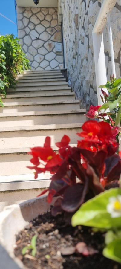 Apartment Lea Bayview Dubrovnik Dış mekan fotoğraf