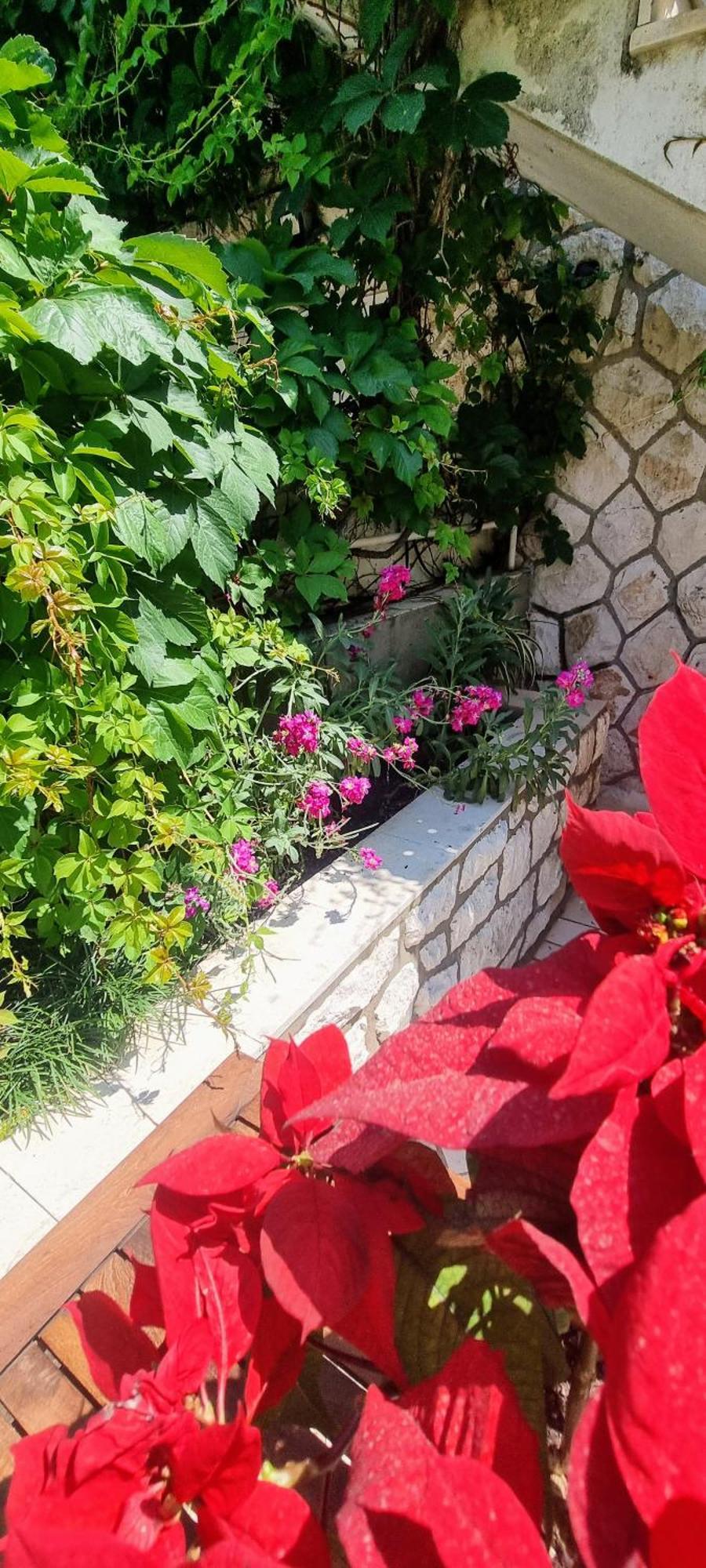 Apartment Lea Bayview Dubrovnik Dış mekan fotoğraf